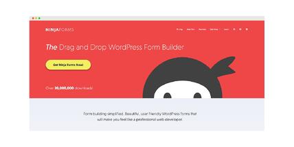 Ninja Forms is another WordPress plugin that enables you to create ...