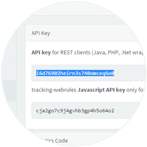 Step 1. Copy the REST API Key