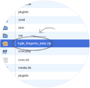 Install Agile CRM Magento plugin