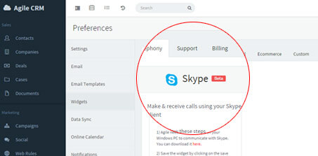 Skype Call Widget